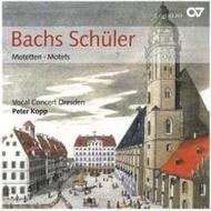 Bachs Pupils-  Motets | Carus CAR83263