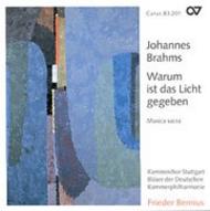 Brahms - Choral Works | Carus CAR83201