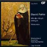David Pohle - Musica Sacra