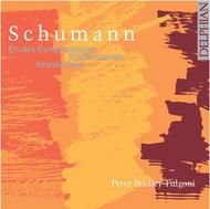 Schumann - Etudes Symphoniques, Kinderszenen, Kreisleriana | Delphian DCD34015