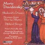 The Music of Mario Davidovsky