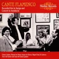 Cante Flamenco | Nimbus NI5251