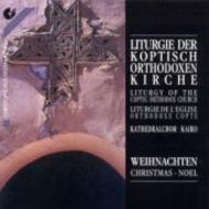 Liturgy of the Coptic Orthodox Church | Christophorus CHR77185