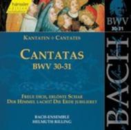 J S Bach - Cantatas Vol.10 (BWV 30,31)