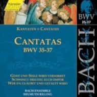 J S Bach - Cantatas Vol.12 (BWV 35,36,37) | Haenssler Classic 92012