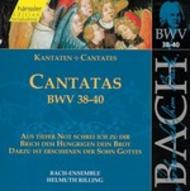 J S Bach - Cantatas Vol.13 (BWV 38,39,40)
