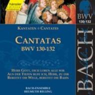 J S Bach - Cantatas Vol.41 (BWV 130,131,132) | Haenssler Classic 92041