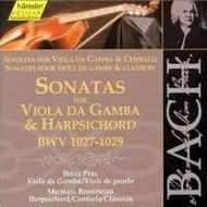 J S Bach - Sonatas for Viola da Gamba & Harpsichord BWV1027-1029