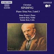 Sinding - Piano Trios Nos. 2 and 3