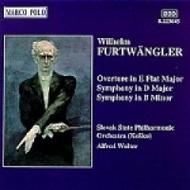 Furtwangler - Symphony in D Major / Symphony in B Minor 