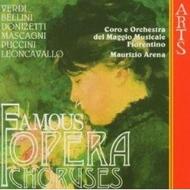 Famous Opera Choruses | Arts Music 473662