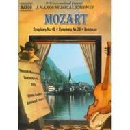 Mozart - Symphonies Nos.40 & 28 | Naxos DVDI0994