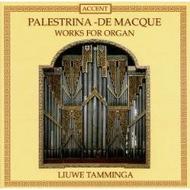 Palestrina / De Macque - Works for Organ