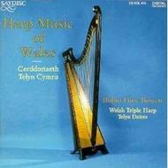 Harp Music of Wales | Saydisc CDSDL412