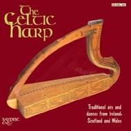 The Celtic Harp