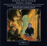 Pfitzner - Vor- und Zwischenspiele