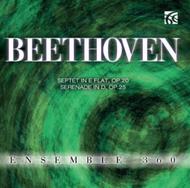 Beethoven - Septet, Serenade in D