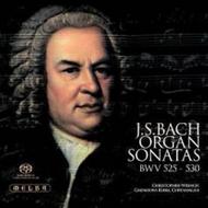 J S Bach - Organ Sonatas, BWV 525-530 | Melba MR301125