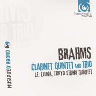 Brahms - Clarinet Quintets | Harmonia Mundi - Musique d'Abord HMA1957048