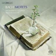 J S Bach - Motets | BIS BISSACD1841