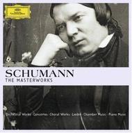 Schumann - The Masterworks (Limited Edition)