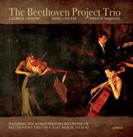 The Beethoven Project Trio | Cedille Records CDR90000118