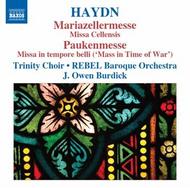 Haydn - Masses vol.4 | Naxos 8572124
