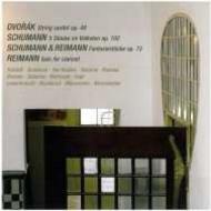 Spannungen Festival 2009: Dvorak / Schumann / Reimann | C-AVI AVI8553207