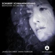 Schubert / Beethoven - Song Cycles