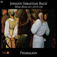 J S Bach - Missae Brevis BWV233 & 236 | Alpha ALPHA170