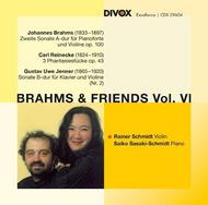 Brahms & Friends Vol.6 | Divox CDX29604