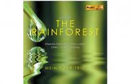 Voices of the Rainforest