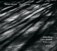 Denes Varjon: Precipitando