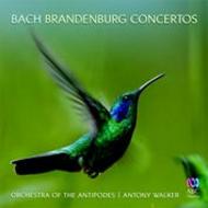J S Bach - Brandenburg Concertos | ABC Classics ABC4761923