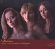 Chopin / Liszt / Rachmaninov / Shostakovich - Piano Trios