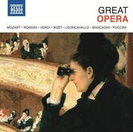 Great Opera | Naxos 8501054