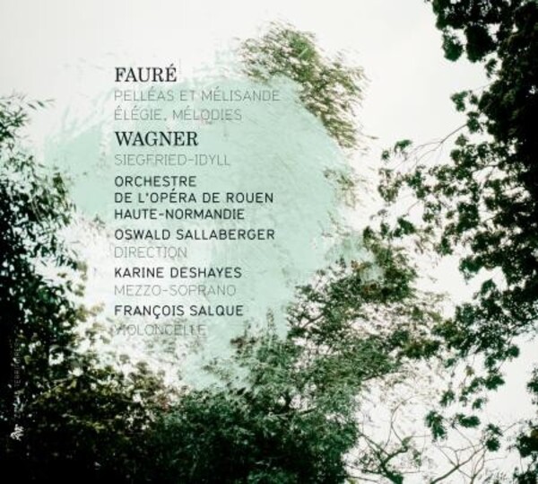 Wagner - Siegfried Idyll / Faure - Pelleas et Melisande, etc | Zig Zag Territoires ZZT300
