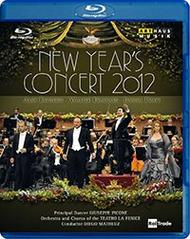 Gran Teatro La Fenice: New Years Concert, 2012 (Blu-ray)