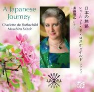 A Japanese Journey