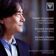 Schumann - Konzertstuck / Wagner - Siegfried-Idyll / R Strauss - Metamorphosen