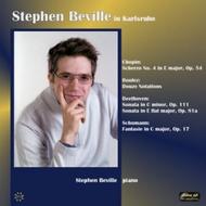 Stephen Beville in Karlsruhe | Divine Art DDA25108