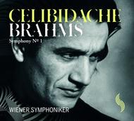 Brahms - Symphony No.1 | Solo Musica WS002