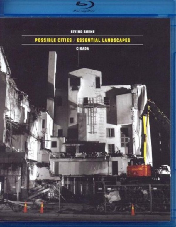 Eivind Buene - Possible Cities/Essential Landscapes