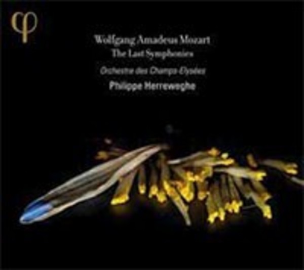 Mozart - The Last Symphonies | Phi LPH011