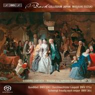 J S Bach - Secular Cantatas Vol.3