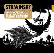 Stravinsky - The Rite of Spring, The Firebird | Naive V5360