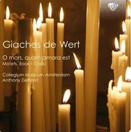 De Wert - Motets Book I | Brilliant Classics 94684