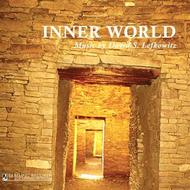 David Lefkowitz - Inner World | Yarlung Records YAR88328