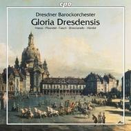 Gloria Dresdensis | CPO 7777822