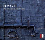 CPE Bach - Klaviersonaten | Stradivarius STR33911